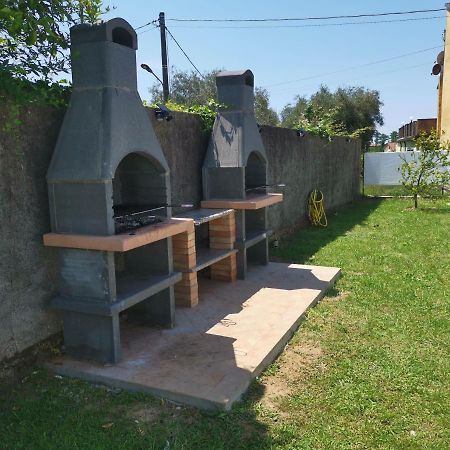 Villa Flora Affittacamere Luni Экстерьер фото
