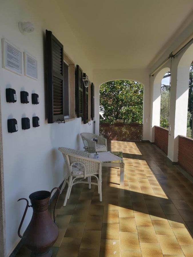 Villa Flora Affittacamere Luni Экстерьер фото
